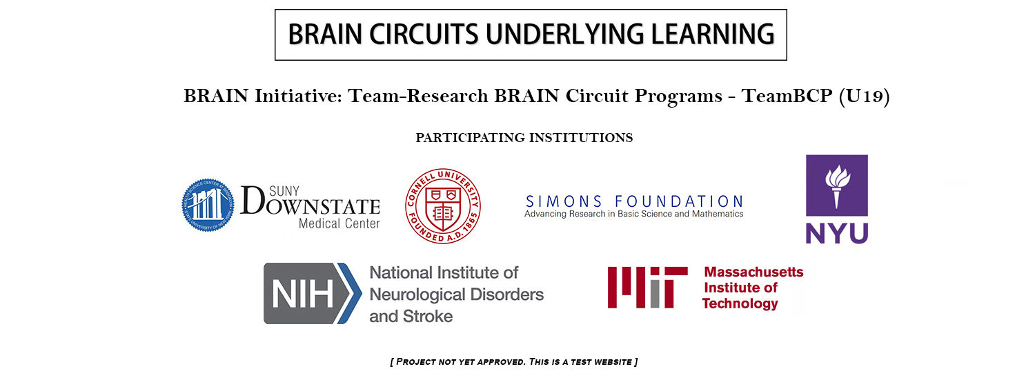 Brain Circuits Underlying Learning